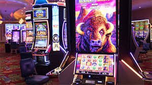 btbt vip bet